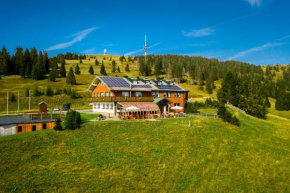 Berggasthof zur Todtnauer Hütte